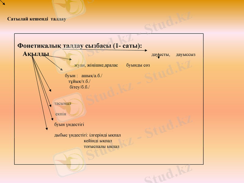 Slide 13