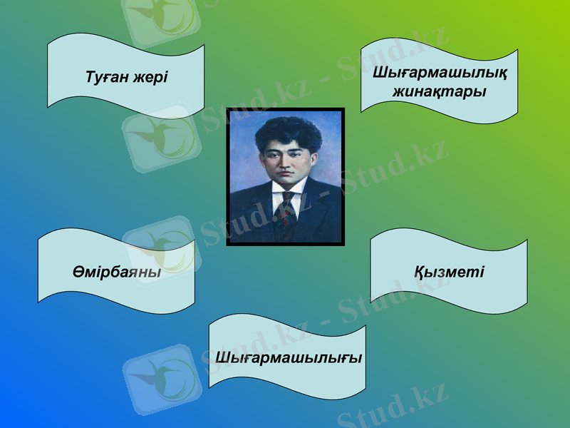 Slide 8