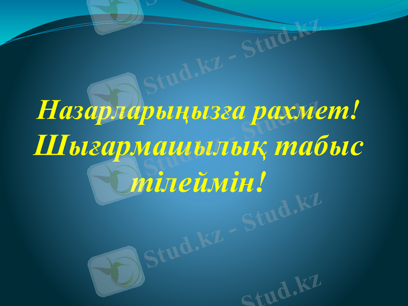 Slide 11