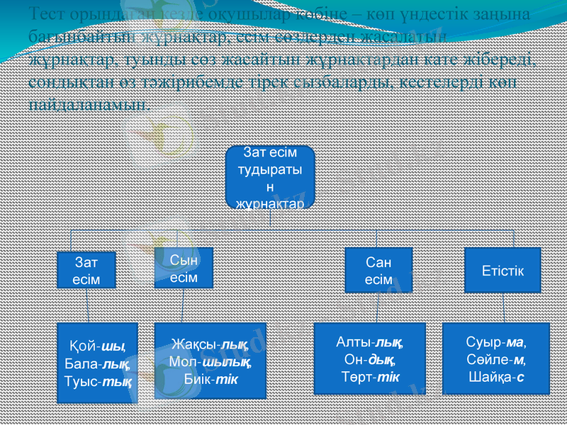 Slide 6