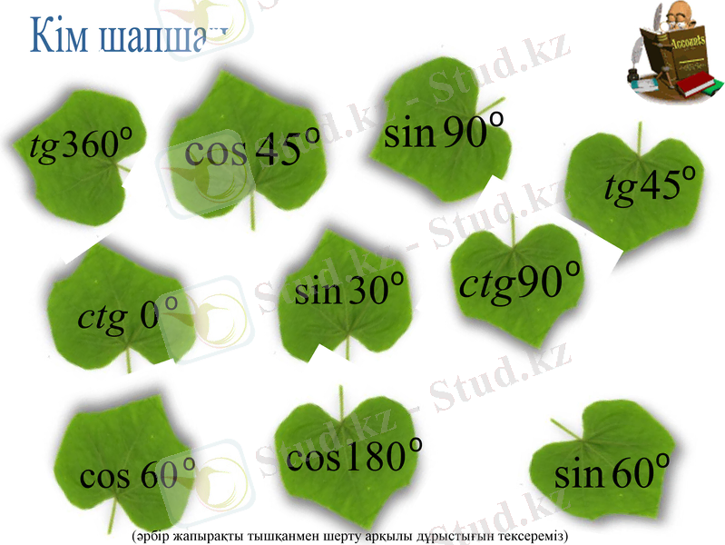 Slide 2