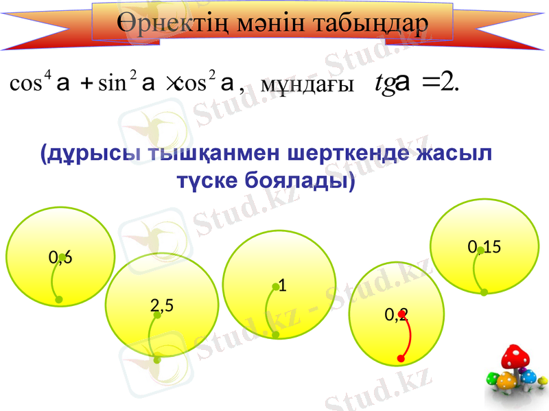Slide 5