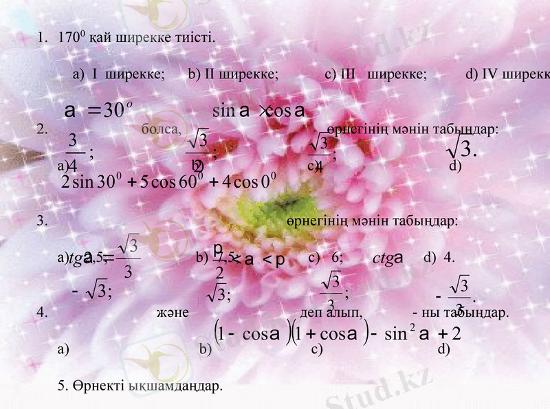 Slide 8