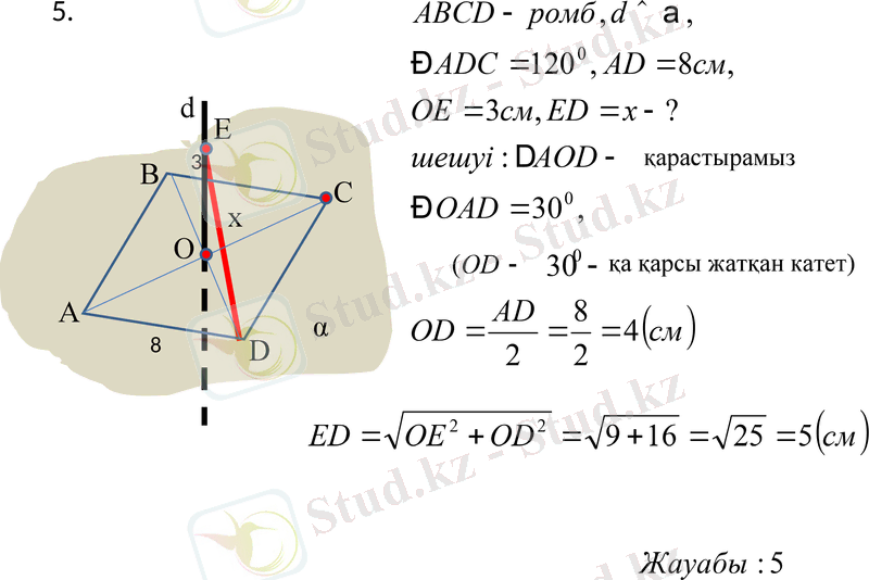 Slide 6