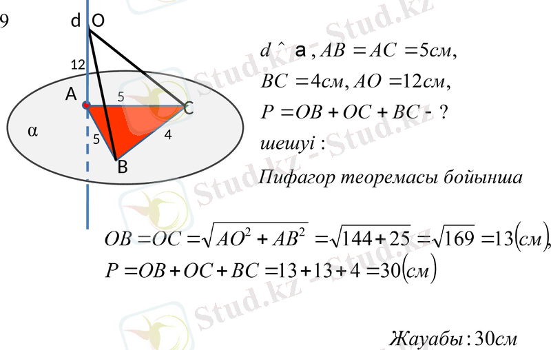 Slide 8
