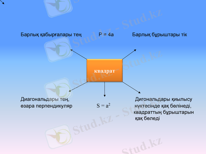 Slide 6
