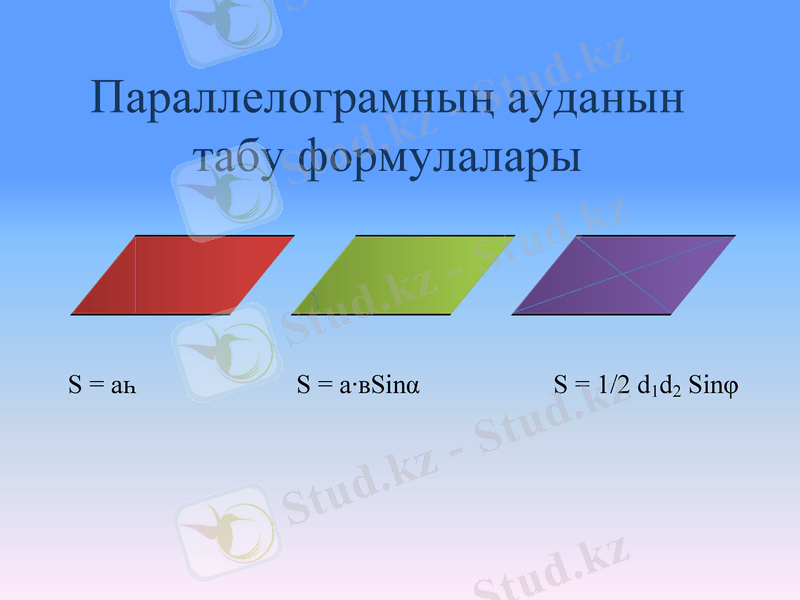 Slide 8
