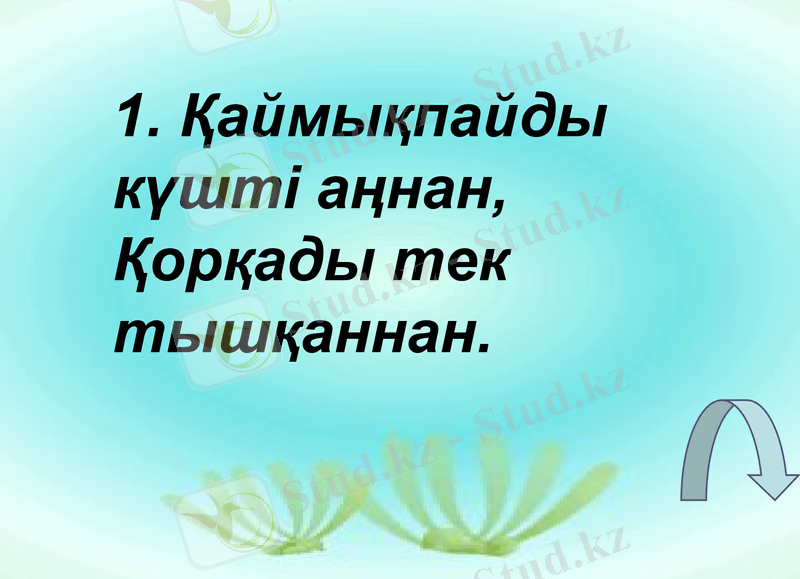Slide 23