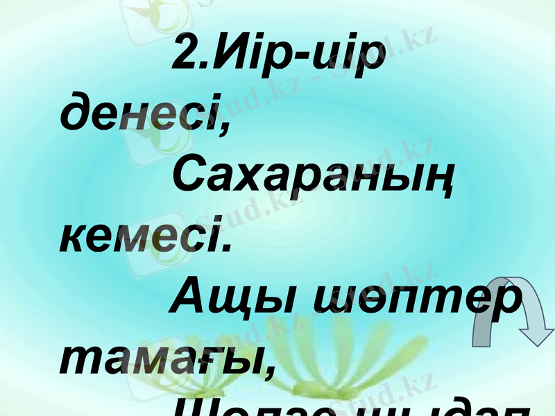 Slide 24