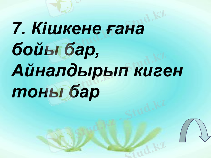 Slide 29