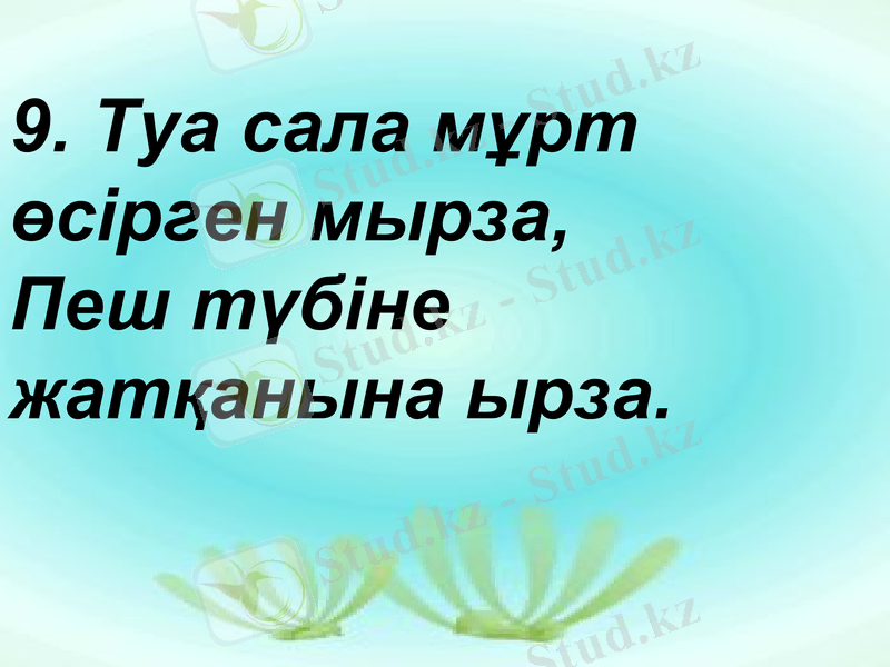 Slide 31