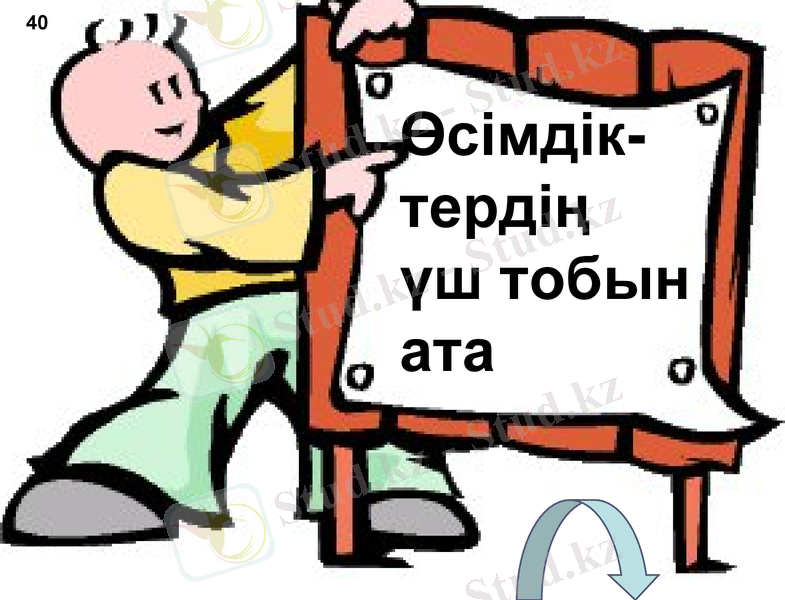 Slide 48