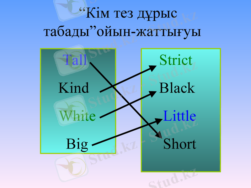 Slide 13