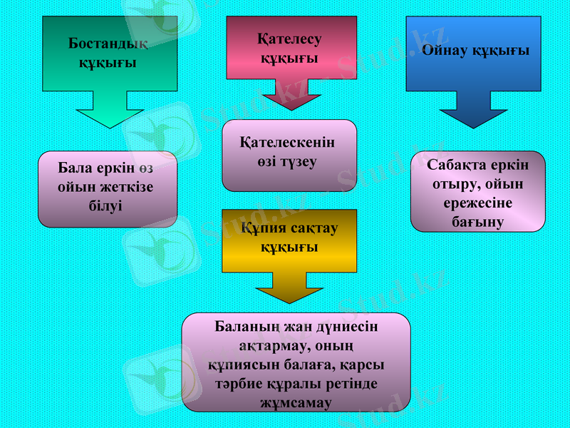 Slide 7