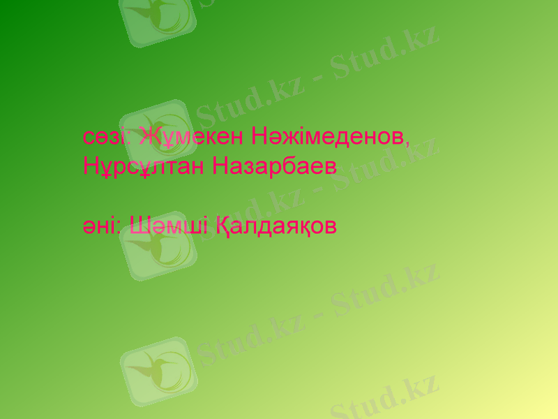 Slide 11
