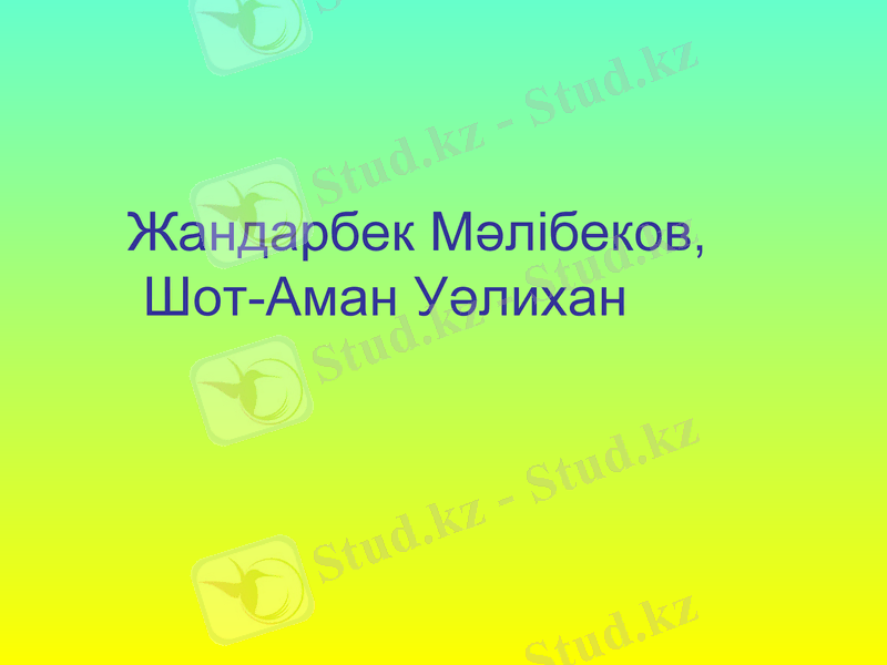 Slide 7