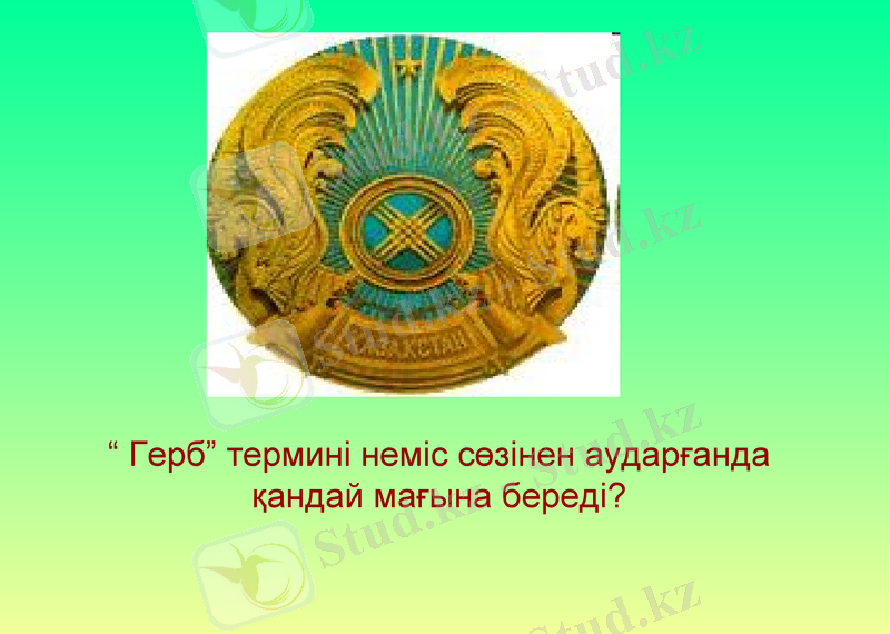 Slide 8
