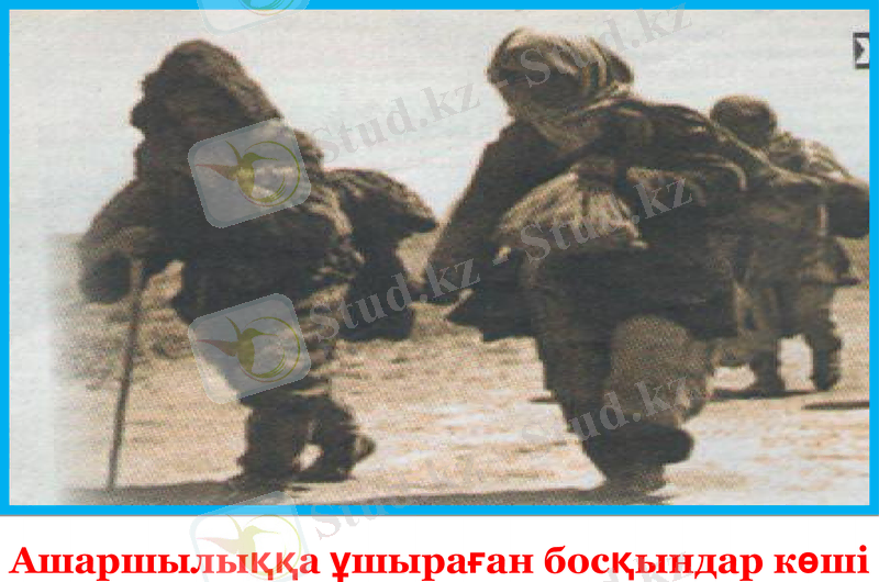 Slide 31