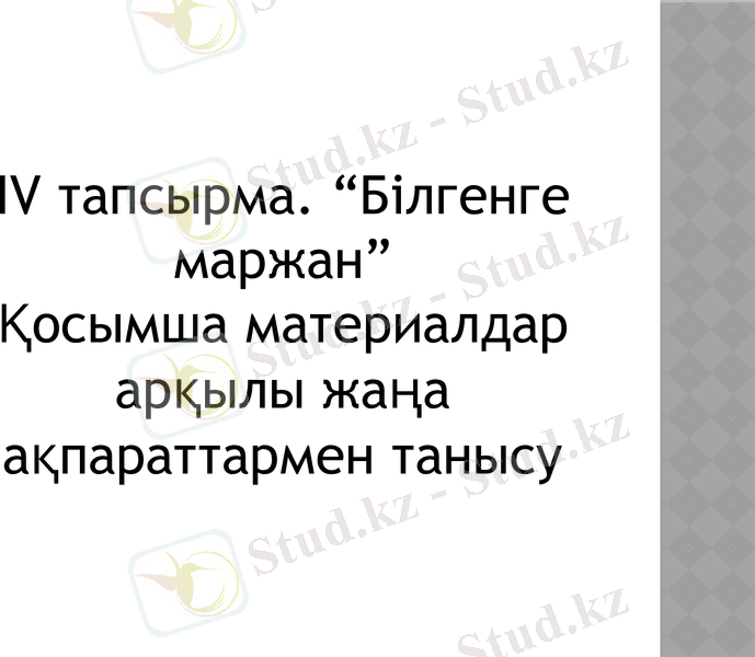 Slide 10
