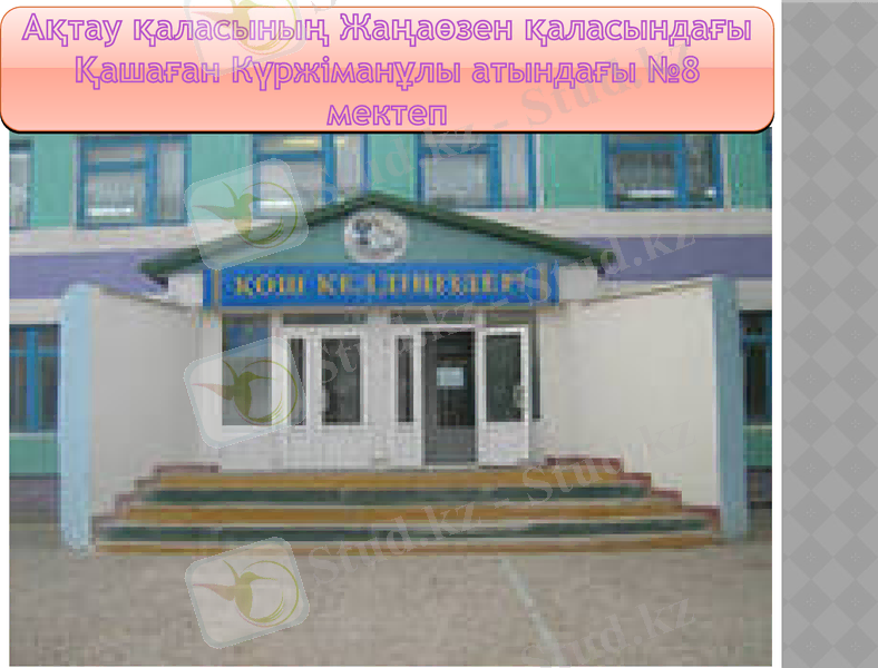 Slide 12