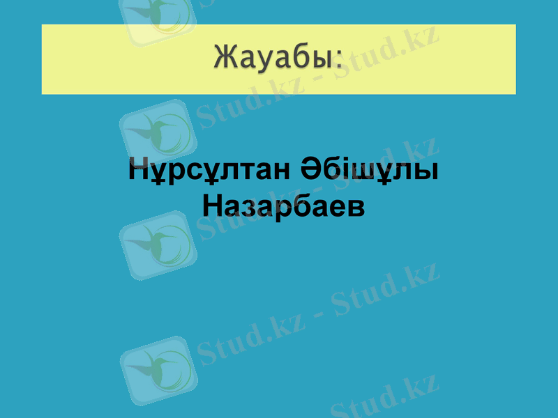 Slide 13