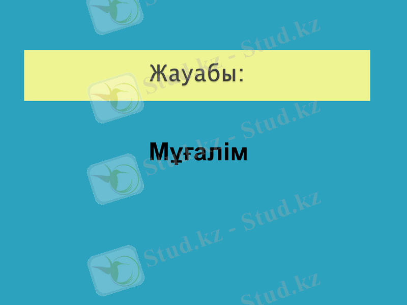 Slide 15