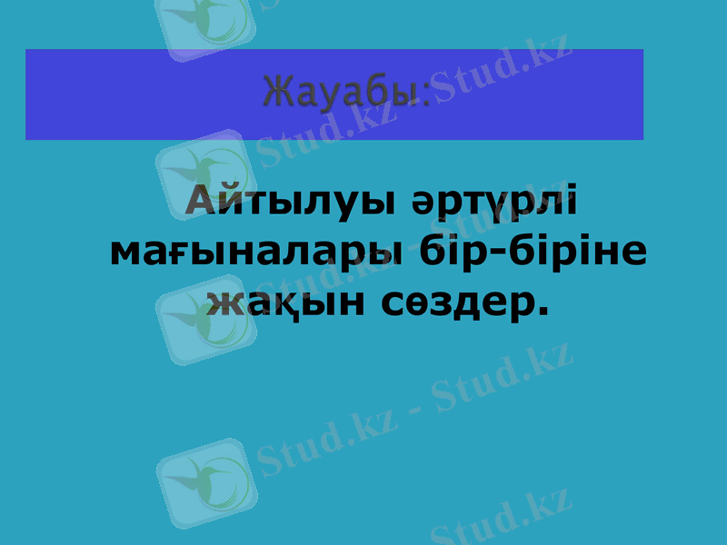 Slide 19