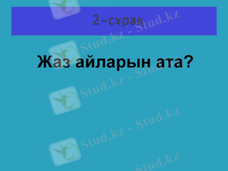Slide 23