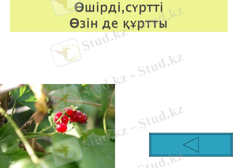 Slide 47