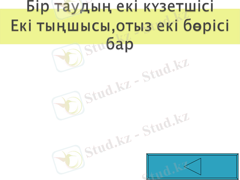 Slide 49