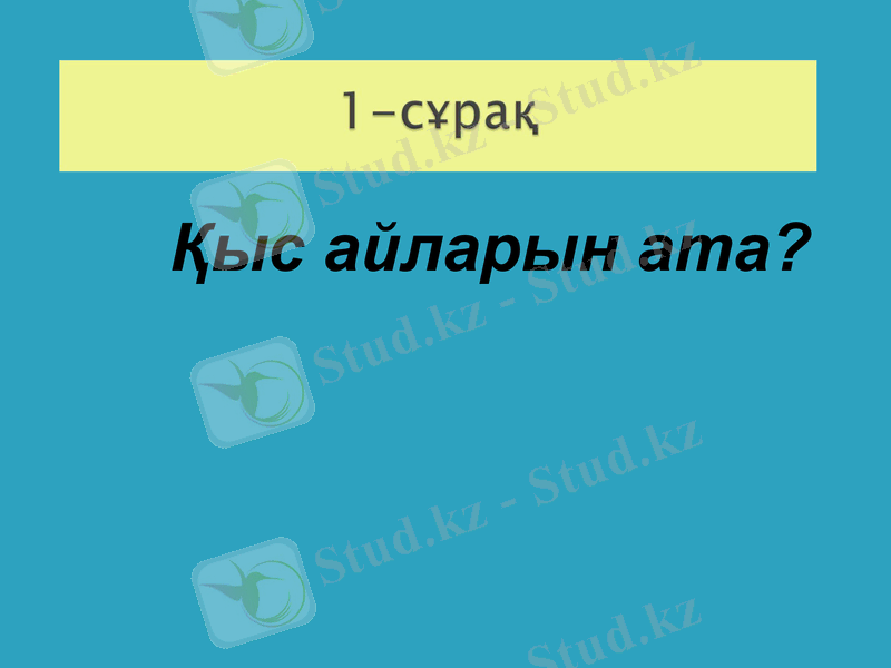Slide 5