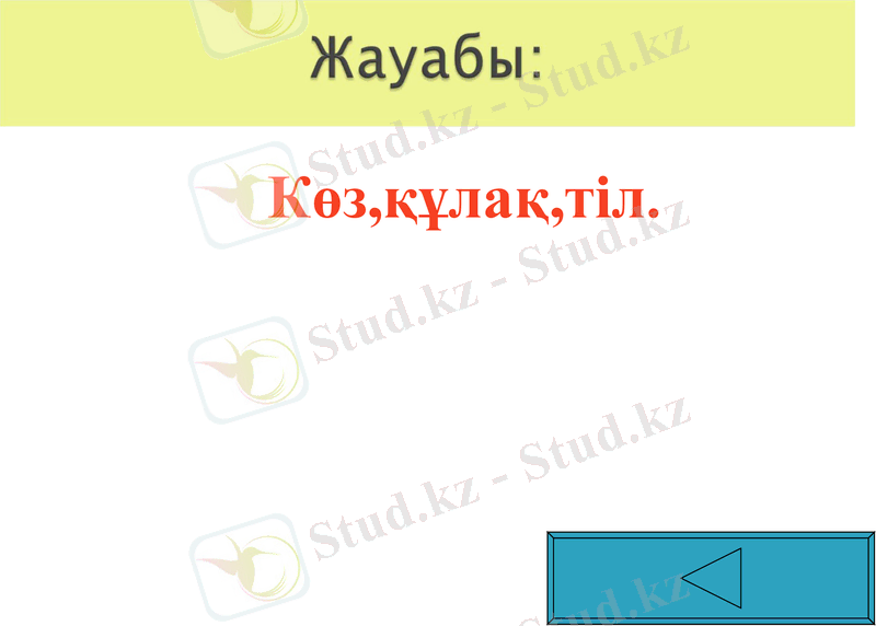 Slide 50