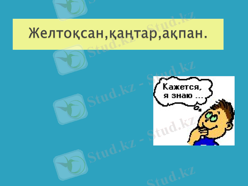 Slide 6
