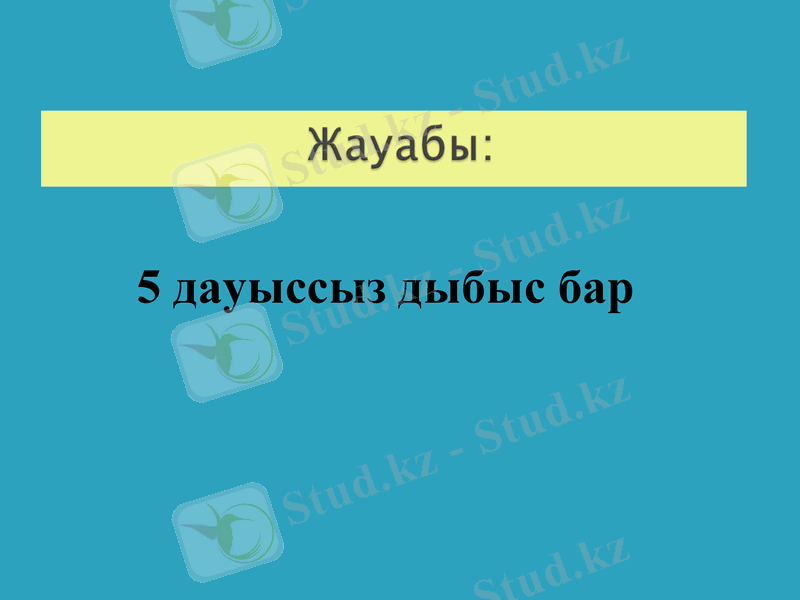 Slide 8