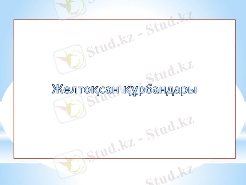 Slide 11