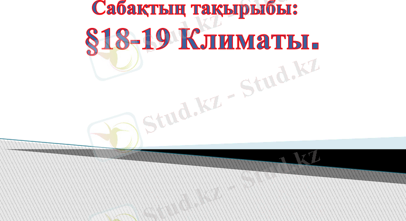 Slide 1