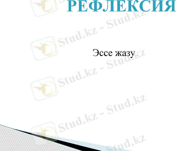 Slide 8