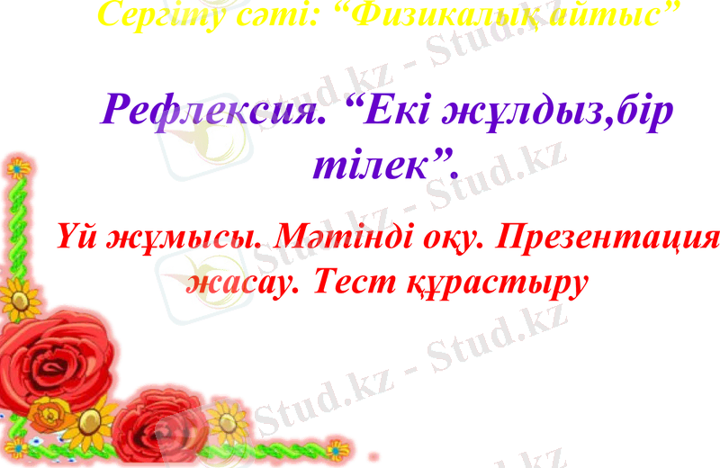 Slide 12