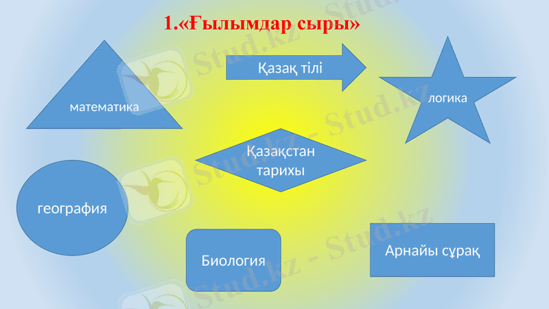 Slide 7