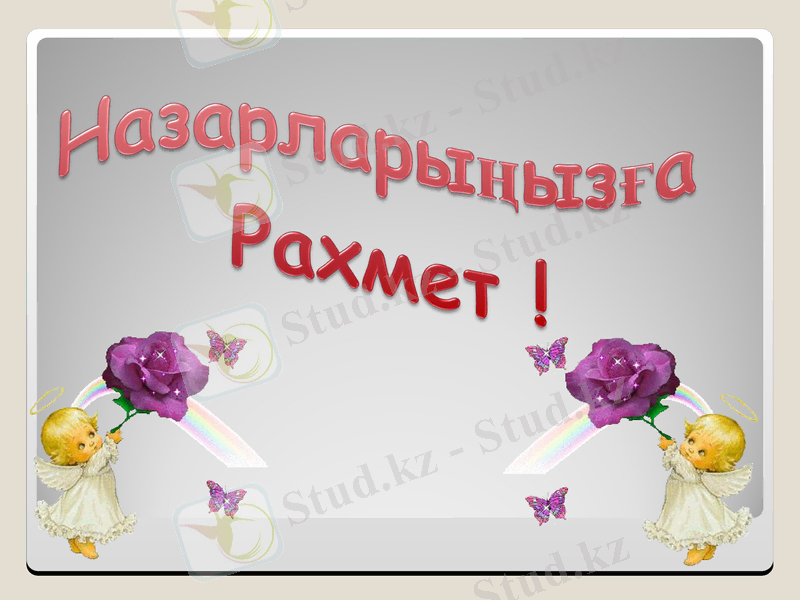 Slide 19