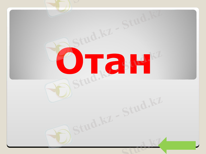 Slide 5