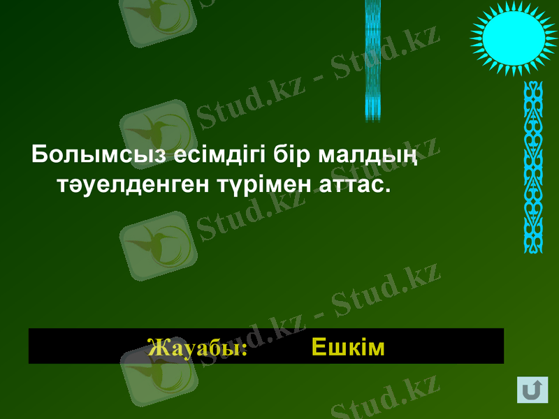 Slide 13