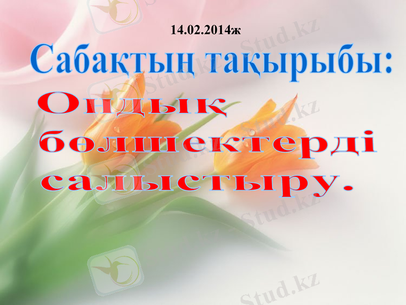 Slide 1