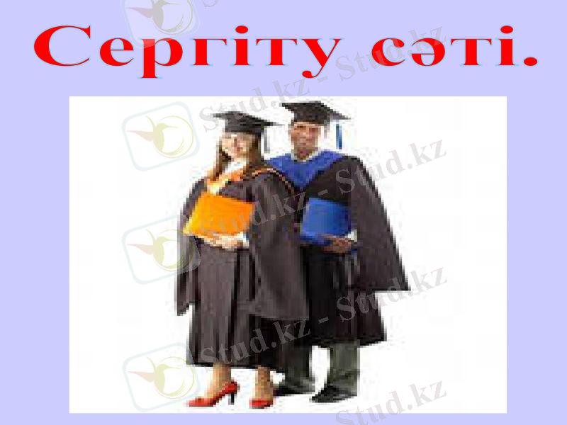 Slide 10