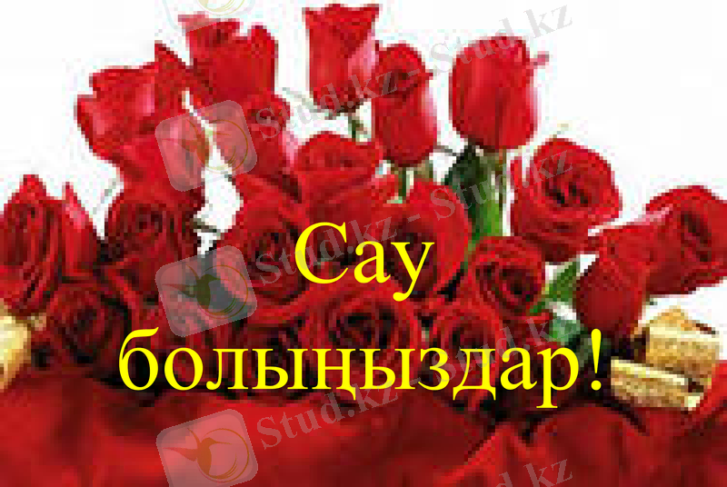 Slide 17