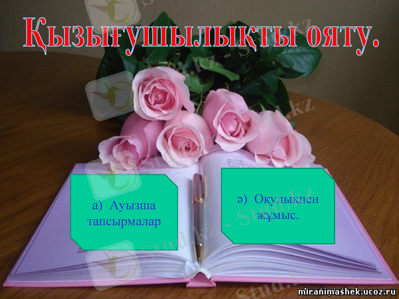 Slide 8