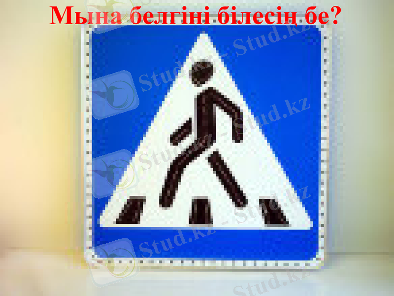 Slide 7