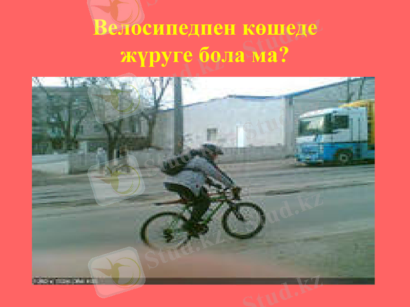 Slide 8