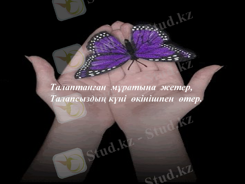 Slide 6