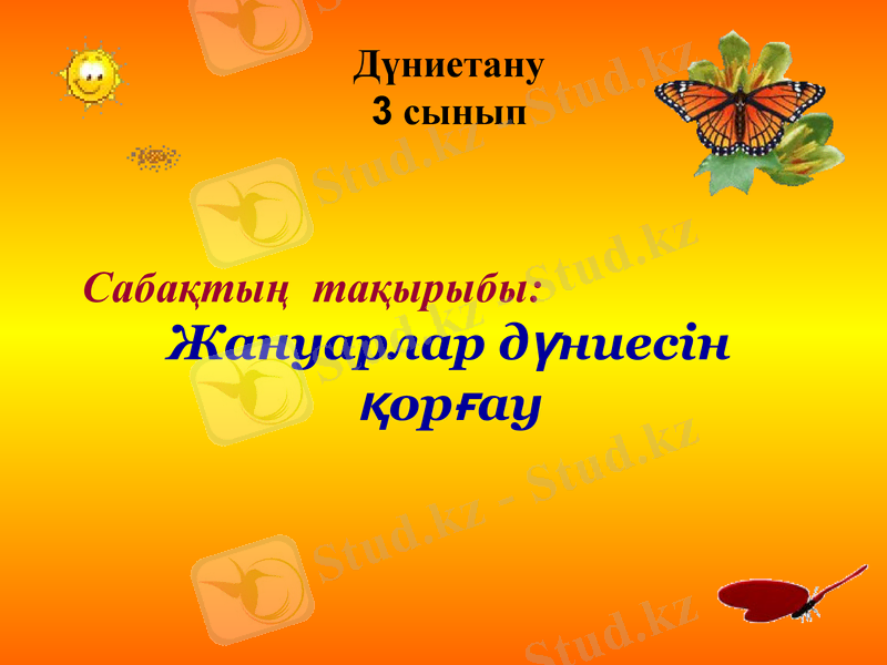 Slide 1